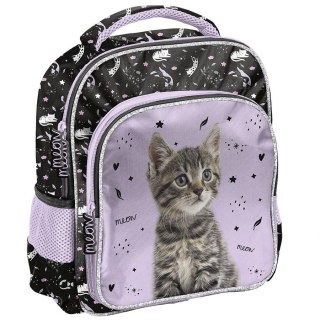 Plecak Paso Kot (PP25CE-337) Paso