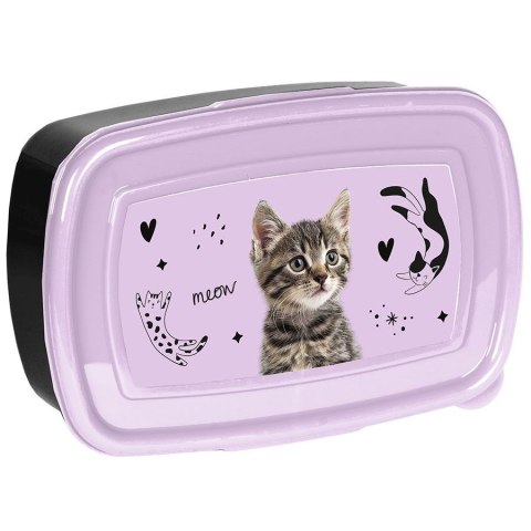 Śniadaniówka Paso Kot (PP25CE-3022) Paso Śniadaniówka Paso Kot (PP25CE-3022) Paso