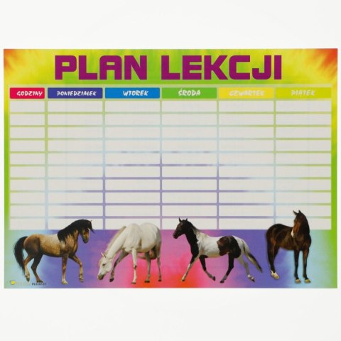Plan lekcji Polsyr A5 Polsyr Plan lekcji Polsyr A5 Polsyr