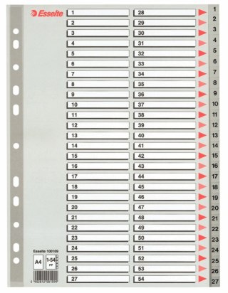 Przekładka numeryczna Esselte A4 szara 54k 1-54 (100109) Esselte