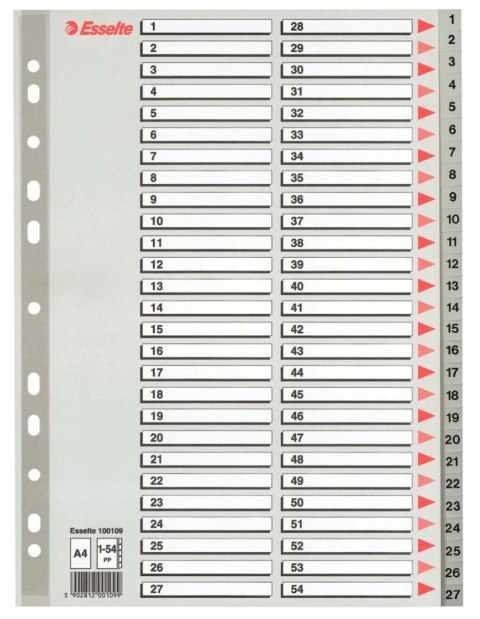 Przekładka numeryczna Esselte A4 szara 54k 1-54 (100109) Esselte Przekładka numeryczna Esselte A4 szara 54k 1-54 (100109) Esselte