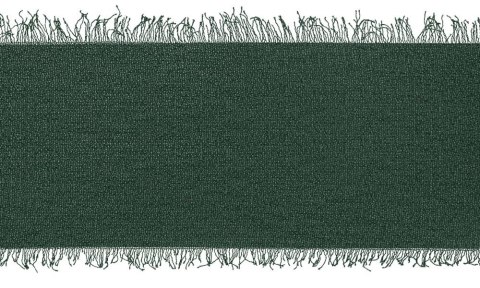 Wstążka Titanum Craft-Fun Series szyfonowa strzępiona 40x10 [mm x m] zielony butelkowy (WJ40-10-012B) Titanum