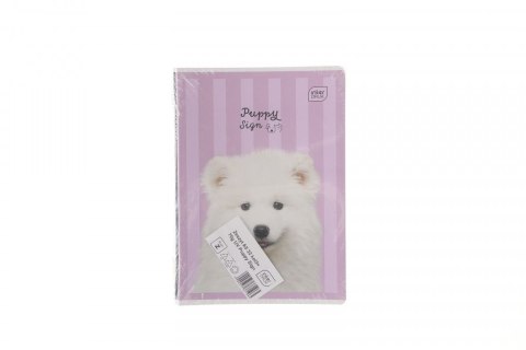 Zeszyt Interdruk PUPPY SIGN A5 32k. 70g linia kolor Interdruk Zeszyt Interdruk PUPPY SIGN A5 32k. 70g linia kolor Interdruk