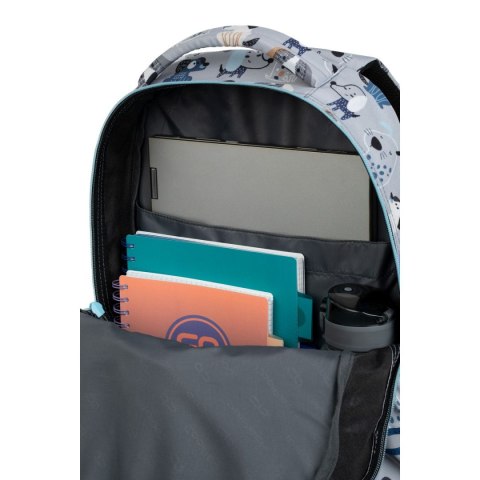 Plecak Patio CoolPack BASIC PLUS (F003694) Patio Plecak Patio CoolPack BASIC PLUS (F003694) Patio