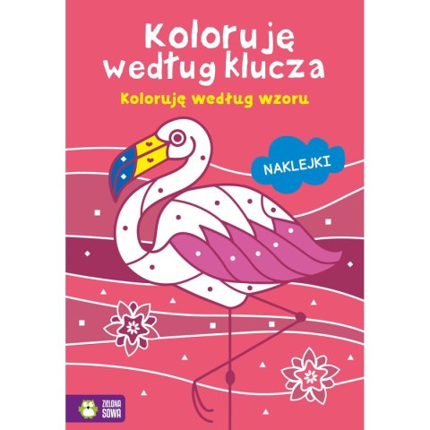 Książeczka edukacyjna Zielona Sowa Koloruję według klucza. Koloruję według wzoru Zielona Sowa Książeczka edukacyjna Zielona Sowa Koloruję według klucza. Koloruję według wzoru Zielona Sowa