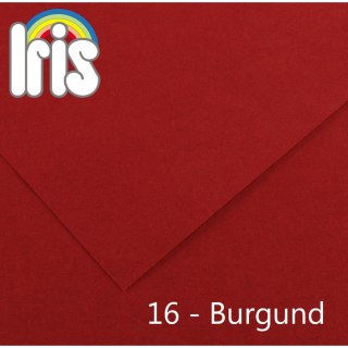 Brystol Canson Iris burgundowy 185g 25k [mm:] 500x650 (200040229) Canson