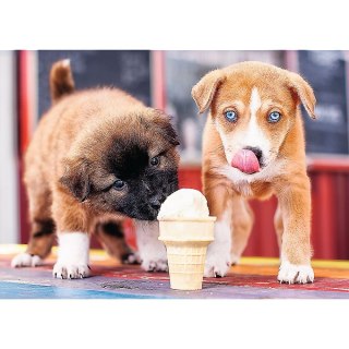 Puzzle Trefl Pora na lody 500 el. (37272) Trefl