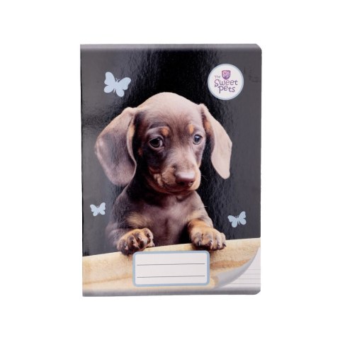 Zeszyt Beniamin The Sweet Pets (6006) Beniamin Zeszyt Beniamin The Sweet Pets (6006) Beniamin
