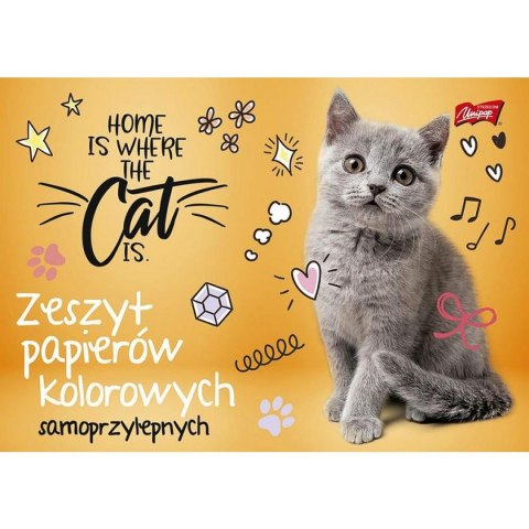 Zeszyt papierów kolorowych Unipap B4 80g 8k [mm:] 250x350 Unipap