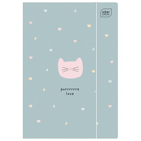 Teczka kartonowa na gumkę TRENDS GIRLS HOLOGRAM A4 mix Interdruk Interdruk Teczka kartonowa na gumkę TRENDS GIRLS HOLOGRAM A4 mix Interdruk Interdruk