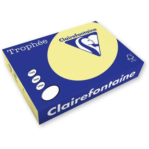 Papier kolorowy Trophee A3 kanarkowy 80g [mm:] 297x420 (xca31884) Trophee