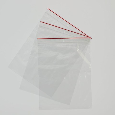 Worki strunowe Gabi-Plast 100 szt [mm:] 200x250 Gabi-Plast