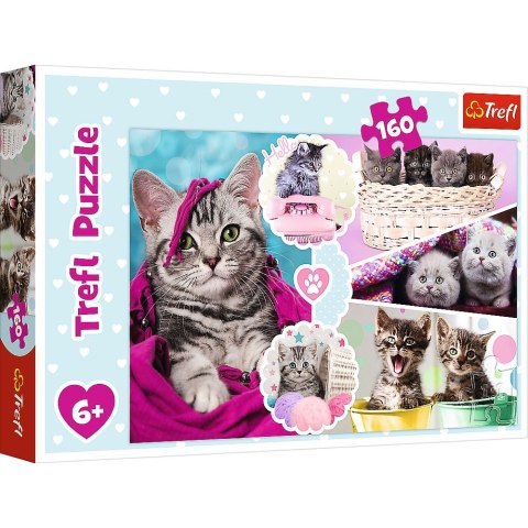 Puzzle Trefl 160 el. (15371) Trefl Puzzle Trefl 160 el. (15371) Trefl