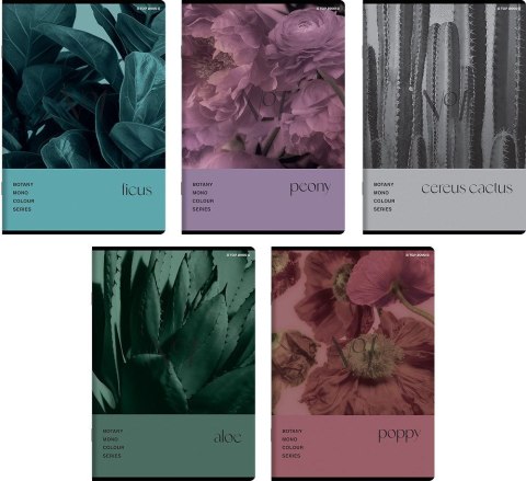 Zeszyt Top 2000 BOTANY A5 60k. 70g krata (400182432) Top 2000 Zeszyt Top 2000 BOTANY A5 60k. 70g krata (400182432) Top 2000