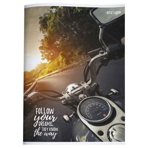Zeszyt Strigo (5902315571341) Strigo Zeszyt Strigo (5902315571341) Strigo