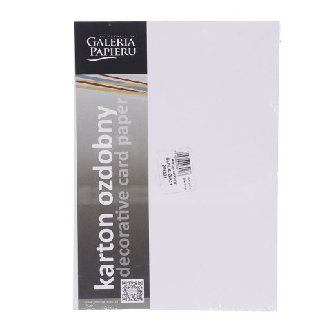 Papier ozdobny (wizytówkowy) Galeria Papieru gładki A4 biały 200g (202831) Galeria Papieru