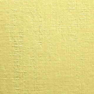 Papier ozdobny (wizytówkowy) Protos A4 kremowy 246g Protos