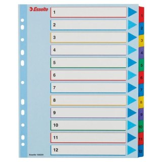 Przekładka numeryczna Esselte MYLAR A4 mix kolorów 160g 12k 1-12 (100209) Esselte