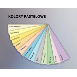 Papier kolorowy Emerson kolorowy 4003 A4 kanarkowy 80g (xem408003) Emerson