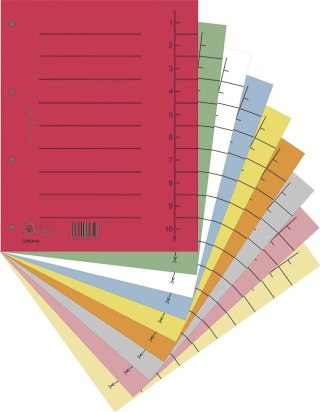 Przekładka numeryczna Donau A4 mix kolorów 250g 100k 1-10 [mm:] 235x300 (8610001S-99) Donau