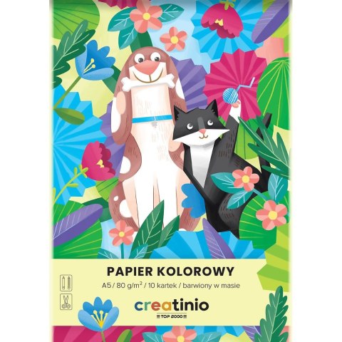 Papier kolorowy Top 2000 Creatinio A5 mix 80g (400176683) Top 2000