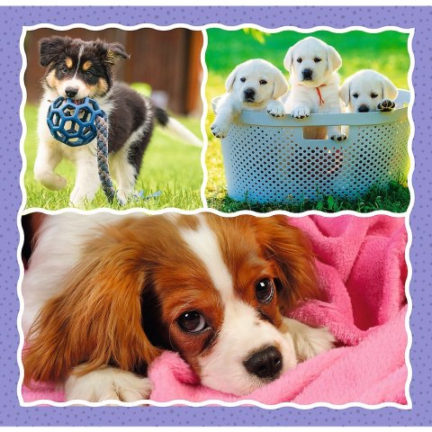 Puzzle Trefl 4w1 el. (34854) Trefl Puzzle Trefl 4w1 el. (34854) Trefl