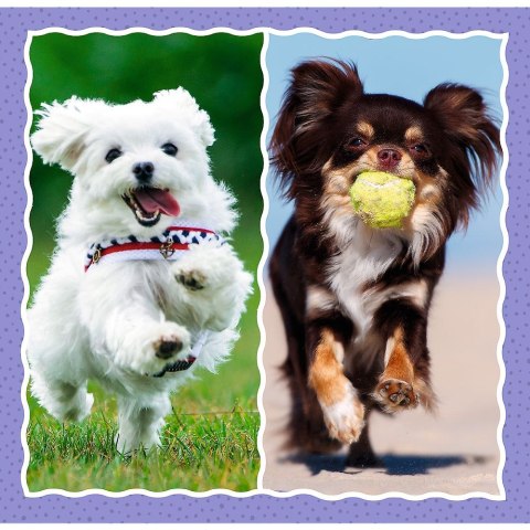 Puzzle Trefl 4w1 el. (34854) Trefl Puzzle Trefl 4w1 el. (34854) Trefl