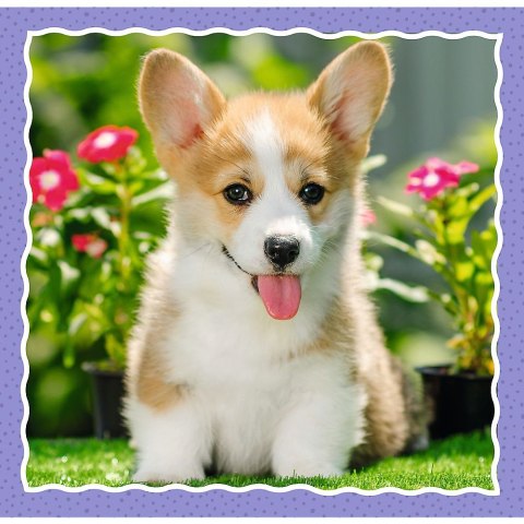 Puzzle Trefl 4w1 el. (34854) Trefl Puzzle Trefl 4w1 el. (34854) Trefl