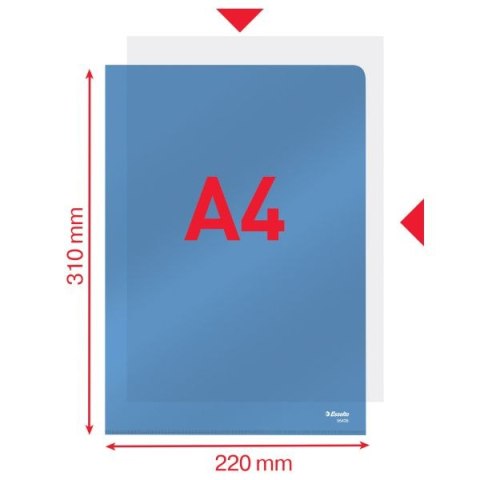 Ofertówka Esselte A4 kolor: niebieski typu L 150 mic. (55435) Esselte