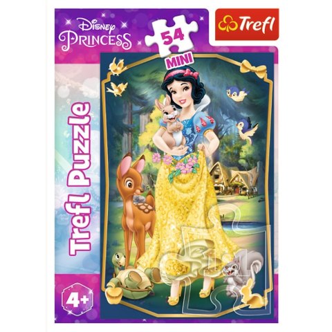 Puzzle Trefl Piękne Księżniczki 54 el. (54191) Trefl