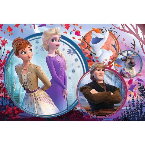 Puzzle Trefl Disney Frozen Ii Siostrzana przygoda 160 el. (15374) Trefl Puzzle Trefl Disney Frozen Ii Siostrzana przygoda 160 el. (15374) Trefl