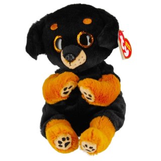 Pluszak Ty Beanie Bellies Randi - Rottweiler [mm:] 150 (TY41290) Ty