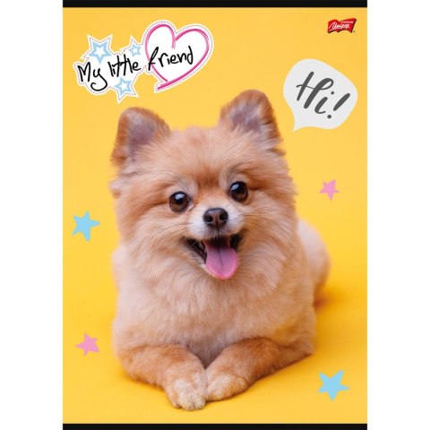 Zeszyt Unipap MY LITTLE FRIEND A4 32k. 70g krata Unipap Zeszyt Unipap MY LITTLE FRIEND A4 32k. 70g krata Unipap