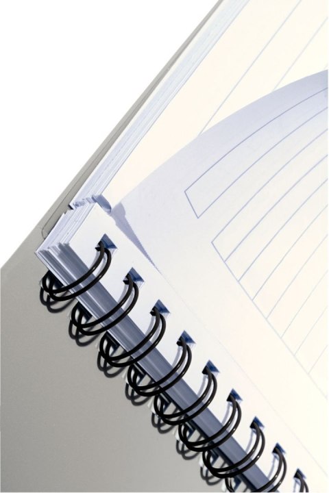 Notes Leitz EXECUTIVE PROJECT BOOK A4 80k. linia (44680000) Leitz Notes Leitz EXECUTIVE PROJECT BOOK A4 80k. linia (44680000) Leitz