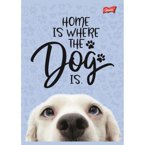 Zeszyt Unipap Dog Unipap