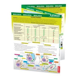 Książeczka edukacyjna Demart maxi ściąga Biologia Demart