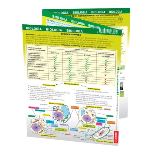 Książeczka edukacyjna Demart maxi ściąga Biologia Demart