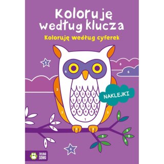 Książeczka edukacyjna Zielona Sowa Koloruję według klucza. Koloruję według cyferek Zielona Sowa