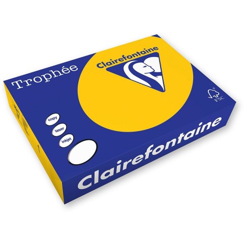 Papier kolorowy Trophee A3 złoty 80g [mm:] 297x420 (xca31255) Trophee