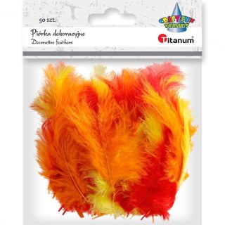 Piórka Titanum Craft-Fun Series mix 50 szt (210039) Titanum