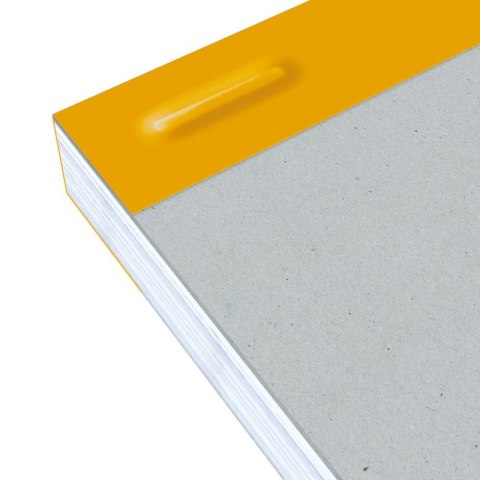 Notes Oxford Everyday A4+ 80k. krata (100106283) Oxford Notes Oxford Everyday A4+ 80k. krata (100106283) Oxford